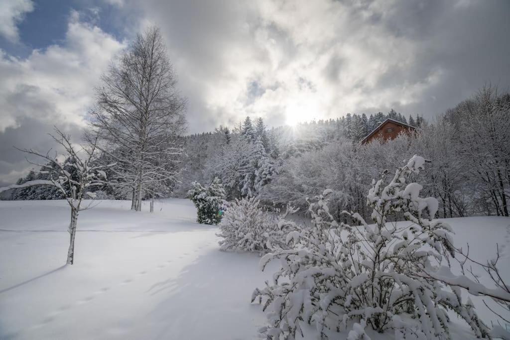 Les Griottes, Veritable Chalet De Montagne, Avec Jacuzzi Et Sauna